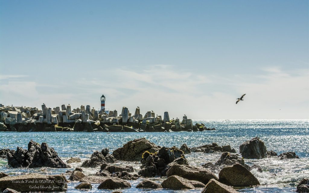 Photo réaliste liée à Découverte de la richesse de la culture antillaise
