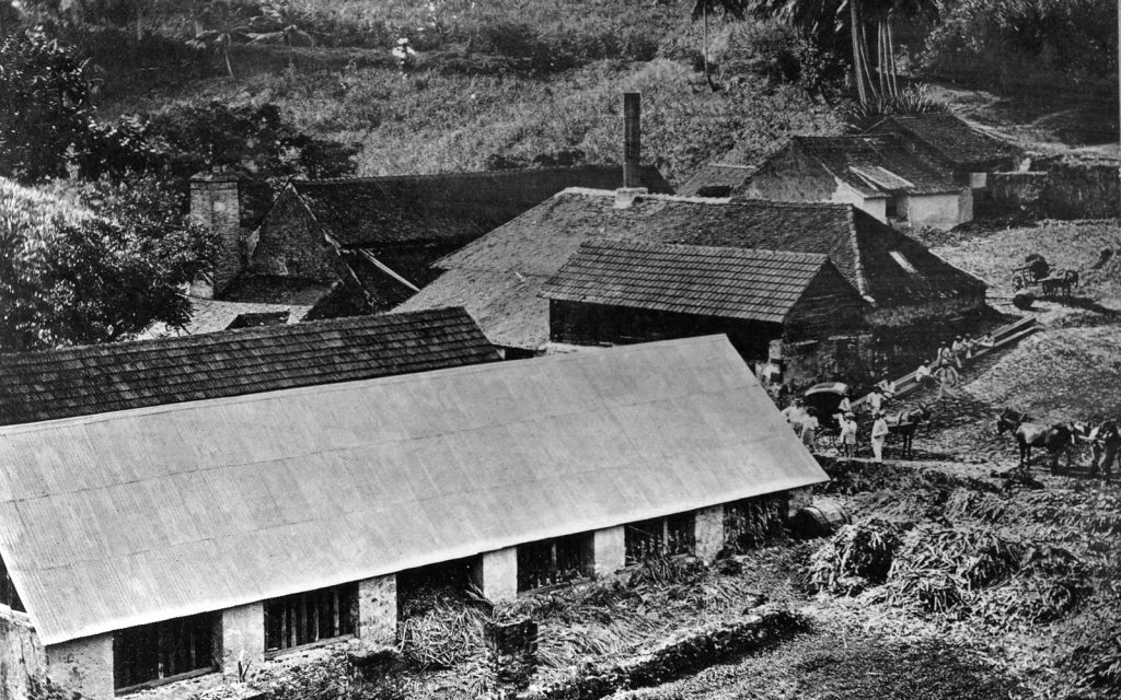 Distillerie de rhum aux Antilles pour illustrer les traditions locales