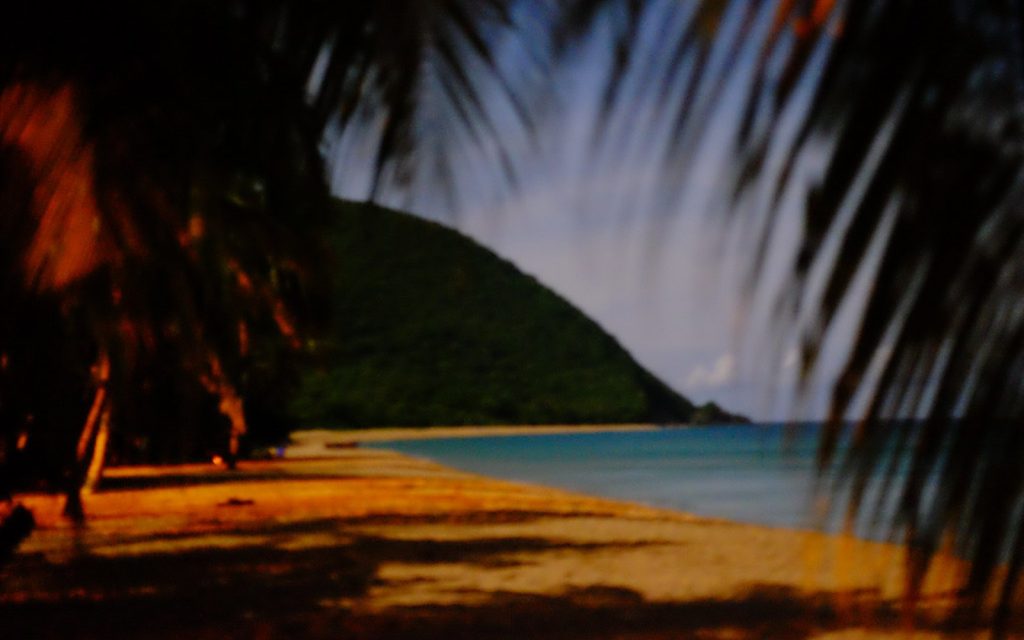 Photo réaliste liée à Quels trésors découvrir lors d’un voyage antillais en Guadeloupe ?
