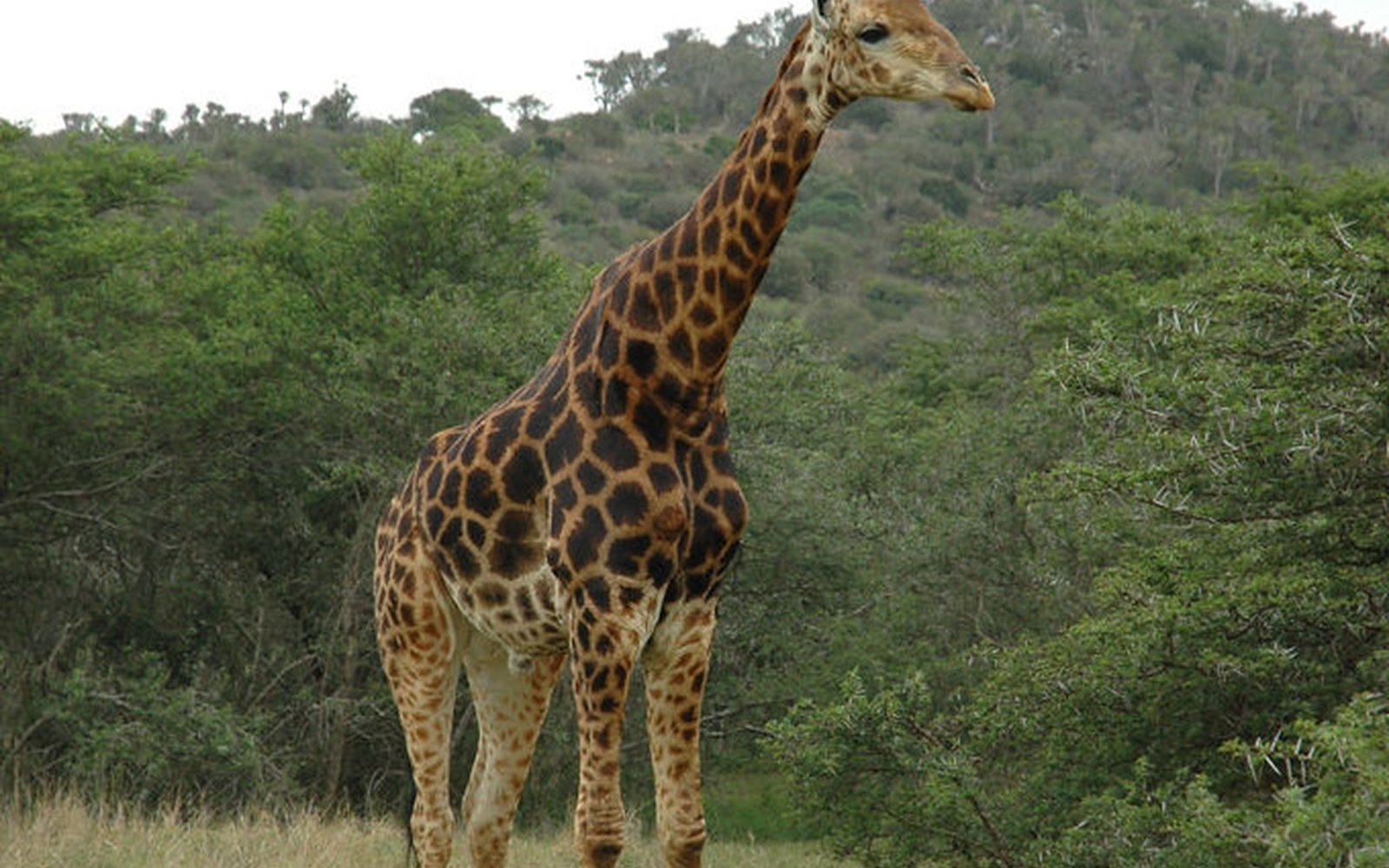 Paysage d’Afrique du Sud pour préparer le budget d’un voyage premium de 15 jours
