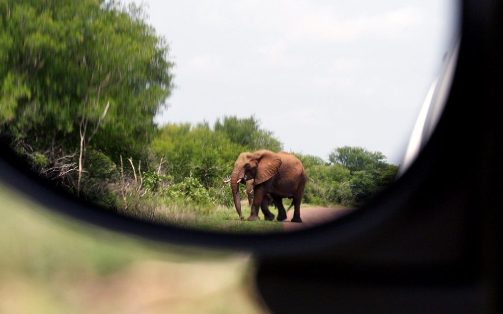 Photo réaliste liée à Partez-vous en circuit accompagné à la découverte de l’Afrique du Sud ?