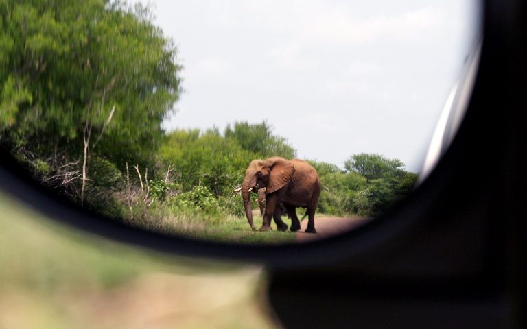 Photo réaliste liée à Partez-vous en circuit accompagné à la découverte de l’Afrique du Sud ?