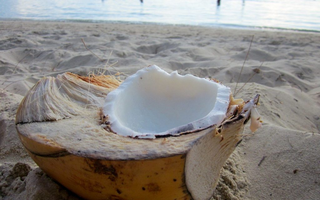 Photo réaliste liée à Pourquoi l’île Maurice est-elle une destination idéale toute l’année ?