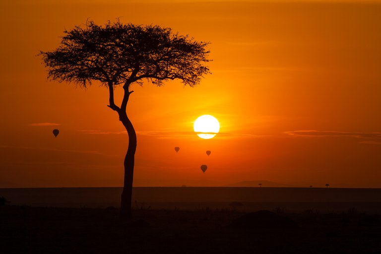 Paysage de savane dans la réserve du Masai Mara au Kenya pour préparer un voyage safari