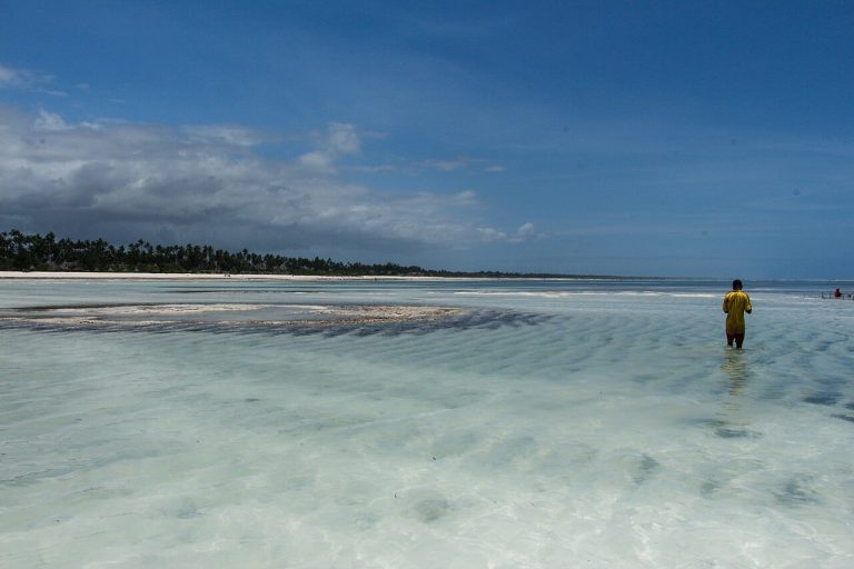 Plage de Zanzibar en Tanzanie, eau turquoise et sable clair